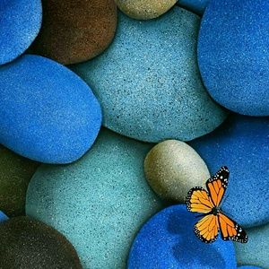 Meet your Posher, Becky